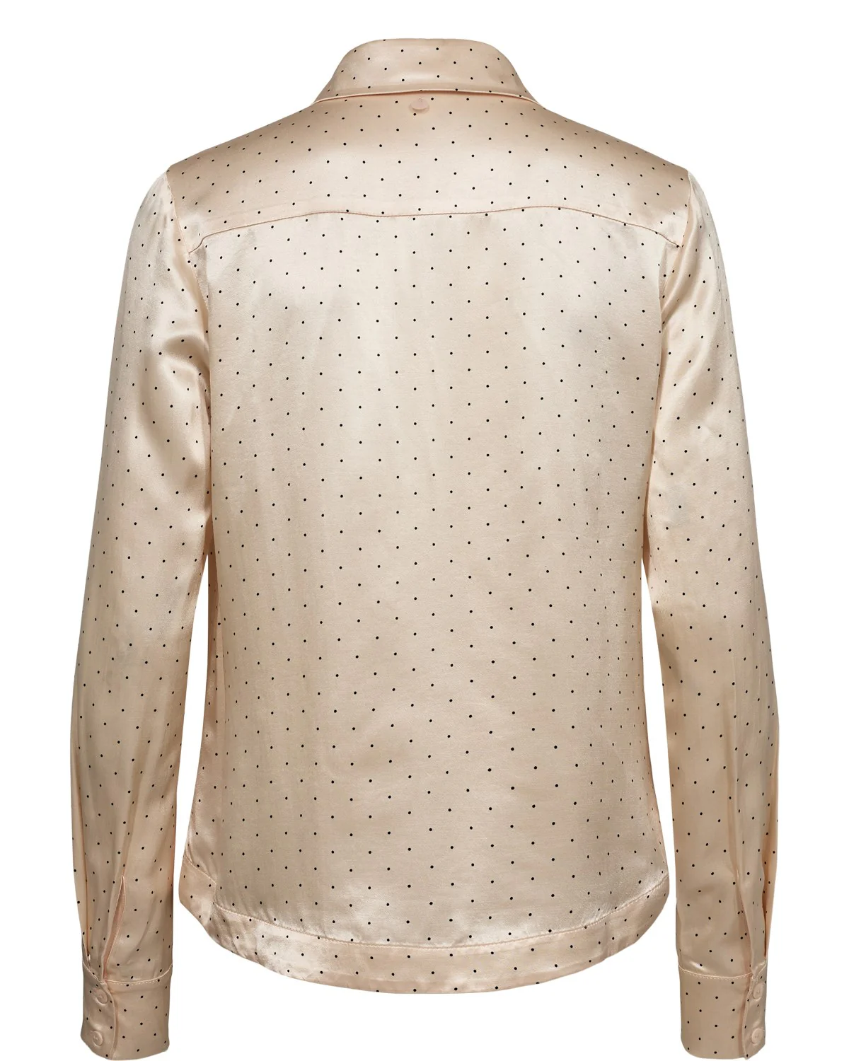 NUIZZY SHIRT  - Sun Kiss - Image 2